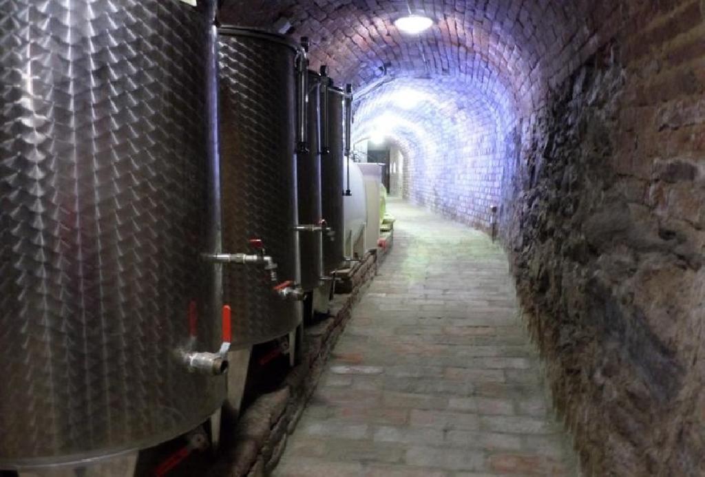 Privat Bohemia Hotel Šatov Kültér fotó